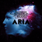 2016 Aria