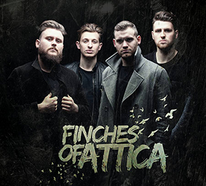 Finches of Attica