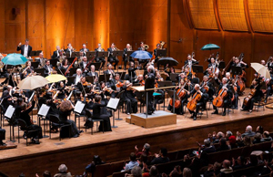 New York Philharmonic Orchestra